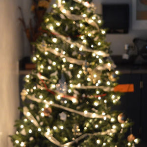 Meet your Posher, Amilcar